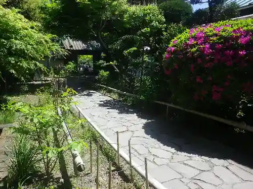 英勝寺の庭園