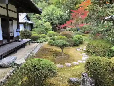 隨心院(随心院)(京都府)