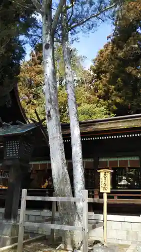 諏訪大社下社秋宮の自然