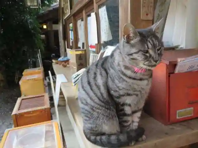 梅宮大社(京都府)