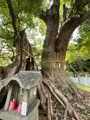 信太森神社(葛葉稲荷神社)の自然