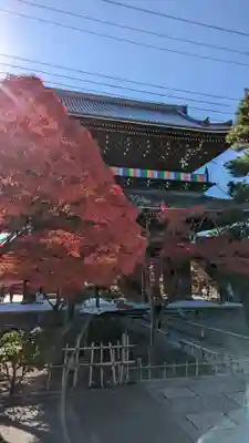 くろ谷 金戒光明寺(京都府)