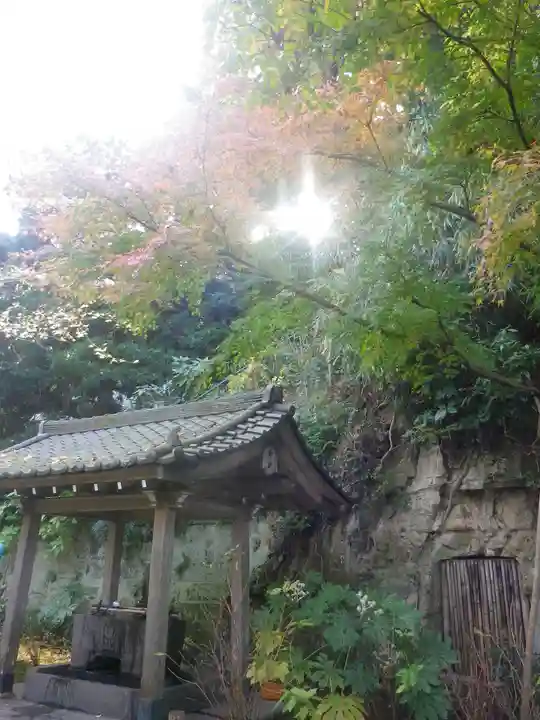 安國論寺(安国論寺)の手水舎