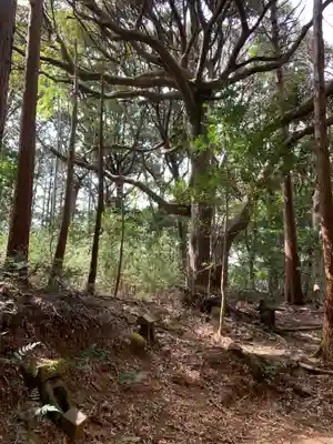 御太刀神社の自然