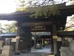 大覚寺の山門