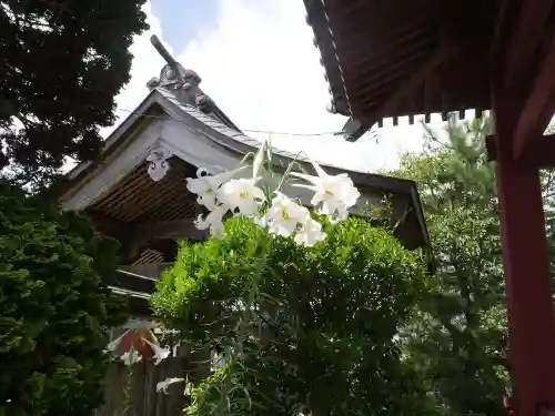 宝勝院のその他建物