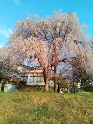 大安寺(宮城県)