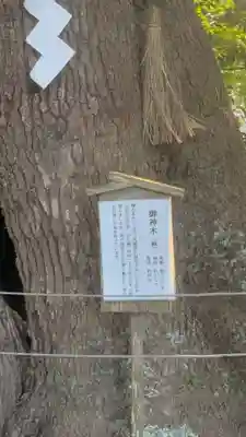 常陸國總社宮(茨城県)