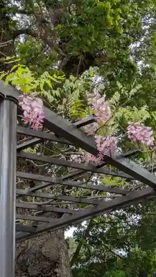 葛井寺(大阪府)