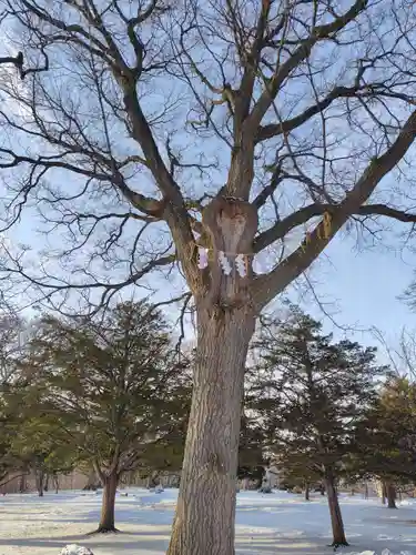厚別神社(北海道)