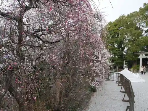 小村井 香取神社の庭園