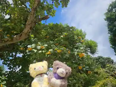 天津神明宮(千葉県)