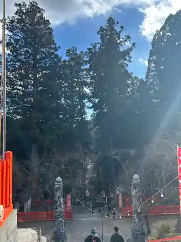 金櫻神社(山梨県)