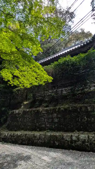 園城寺(三井寺)(滋賀県)