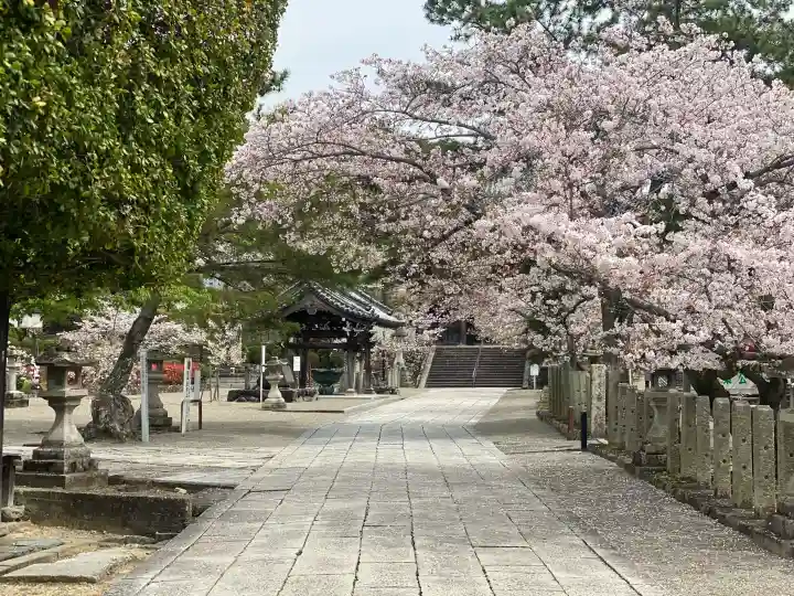 粉河寺の{uncategorized: "未分類", other: "その他", undefined: "問題あり", building: "その他建物", grave: "お墓", sacred_gate: "鳥居", guardian: "狛犬", statue: "像", buddha: "仏像", history: "歴史", nature: "自然", garden: "庭園", animal: "動物", pagoda: "塔", temizu: "手水舎", mountain_gate: "山門・神門", sanctuary: "本殿・本堂", subordinate: "末社・摂社", art: "芸術", scenery: "景色", jizo: "地蔵", ema: "絵馬", goshuin: "御朱印", omikuji: "おみくじ", items: "授与品その他", amulet: "お守り", goshuincho: "御朱印帳", eats: "食事", festival: "お祭り", votive_dance: "神楽", shichigosan: "七五三参", wedding: "結婚式", experience: "体験その他", initially: "初詣", around: "周辺", anti_infection: "感染症対策"}