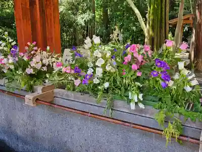 武蔵一宮氷川神社の手水舎