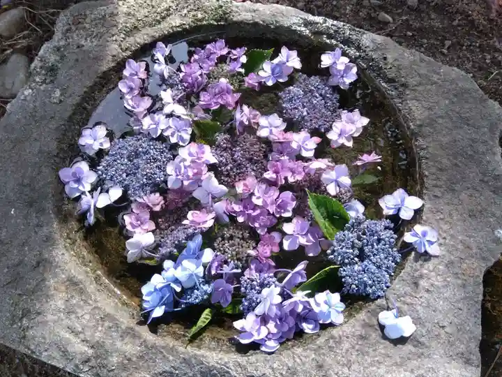 観音寺(富山県)