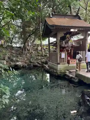 泉神社(茨城県)