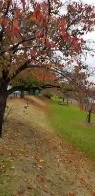 白髭神社(東京都)