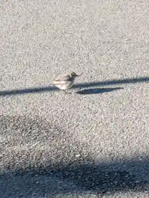 竹神社(三重県)