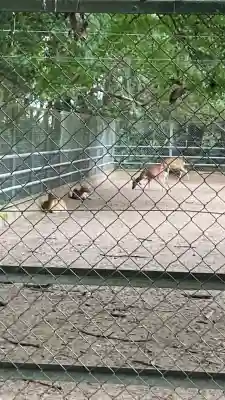 鹿島神宮(茨城県)