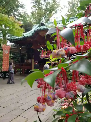 赤坂氷川神社(東京都)
