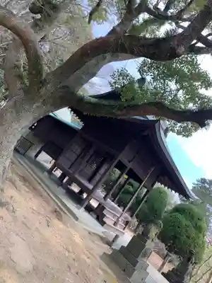 住吉神社(山口県)