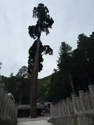 安志加茂神社(兵庫県)