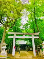 野木神社の鳥居