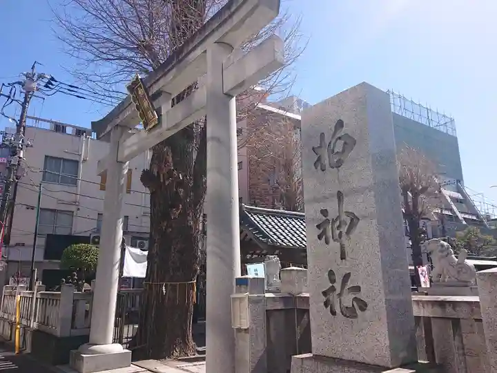 柏神社(千葉県)