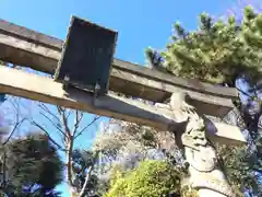 荏原神社の鳥居