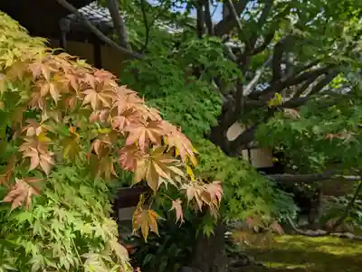 勝林寺(京都府)