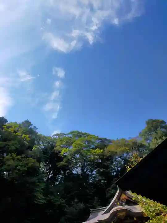 金刀比羅神社のその他建物