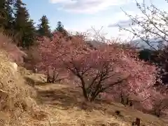 楽法寺（雨引観音）の自然