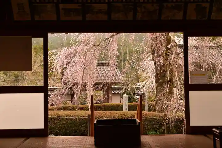 法蓮寺(愛媛県)