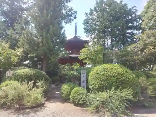 久米寺の庭園