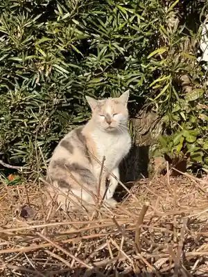 一心寺・一心禅寺(愛知県)