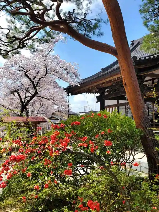 妙林寺(福島県)