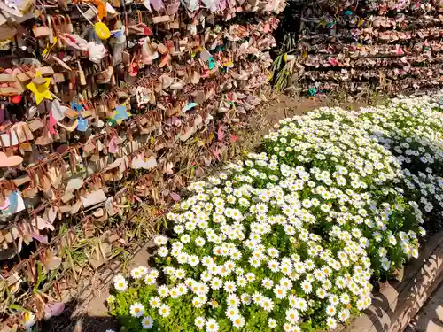 江島神社(神奈川県)