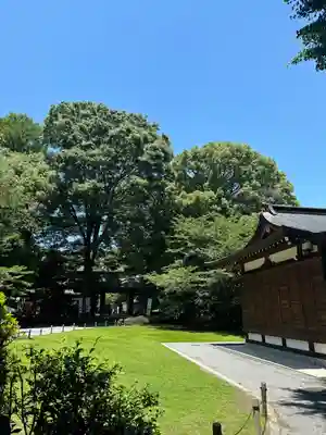 阿佐ヶ谷神明宮(東京都)