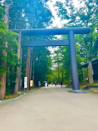 北海道神宮の鳥居