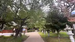 天王神社(滋賀県)