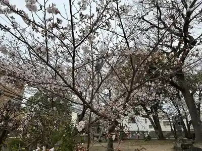 舞子六神社/まいこむの宮(兵庫県)