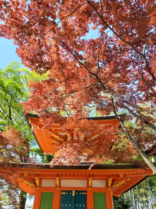 愛染院(東京都)