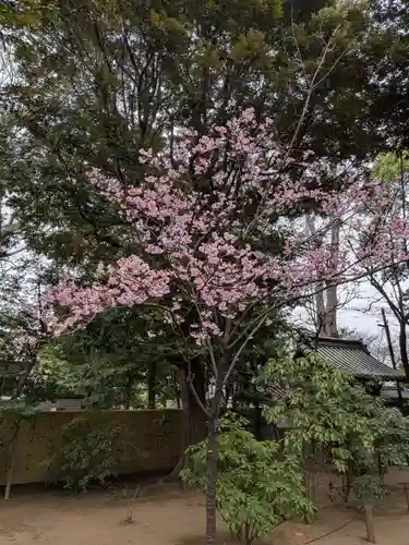 妙法寺(東京都)