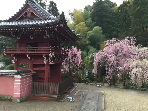 當麻寺(奈良県)