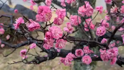  智積院(京都府)