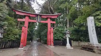 彌彦神社の鳥居