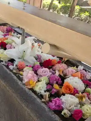 鳩森八幡神社(東京都)
