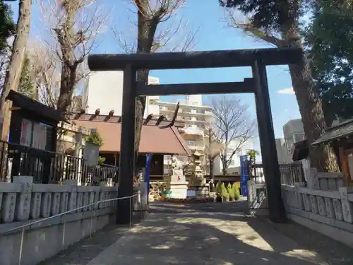 高円寺氷川神社の鳥居